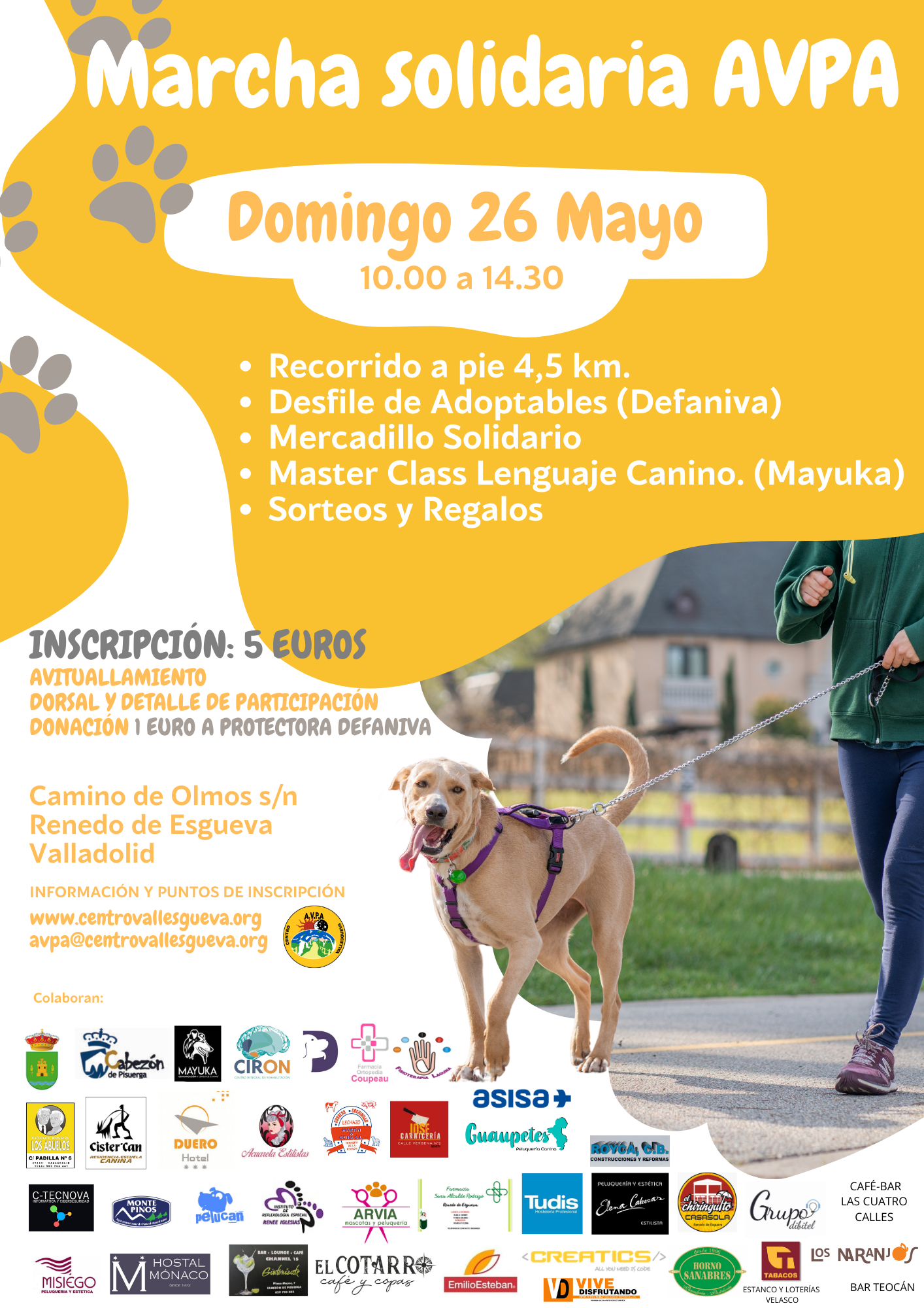 Marcha Solidaria AVPA Valladolid con y sin perros